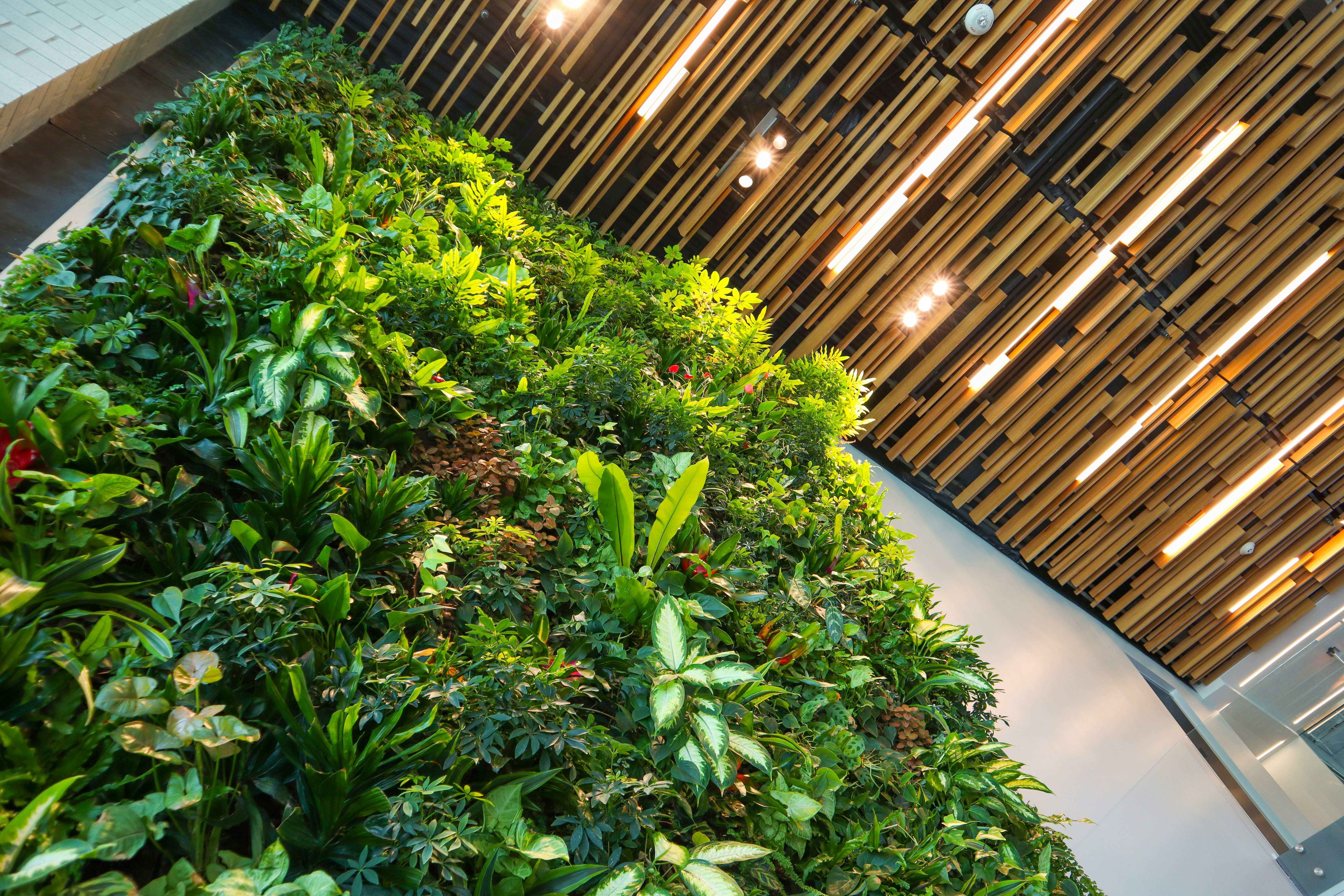 Artificial green wall project